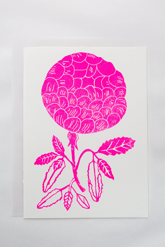 Pink Rose Card/Print