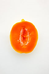 Melon Candle