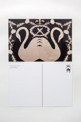 Swans Postcard