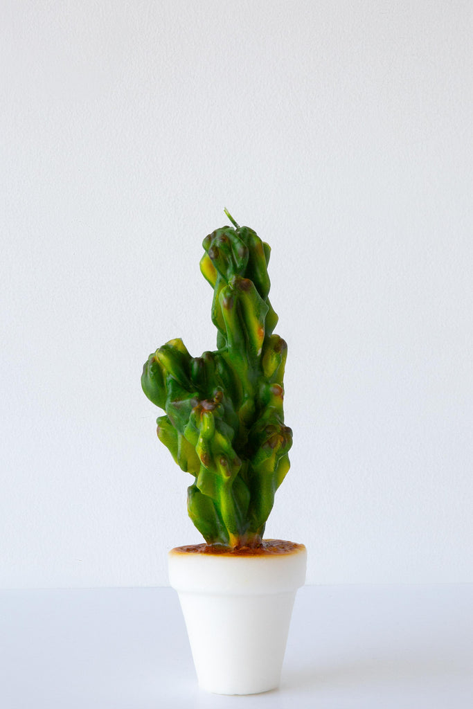Cactus Candle