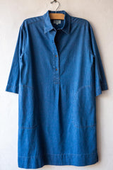 Rank Denim Dress