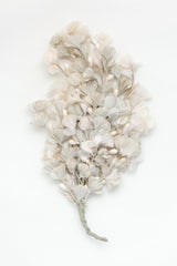 Ginkgo Dual Clip Corsage