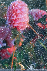 Miniature Art Box The Seed