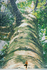 Miniature Art Box Yoga Tree