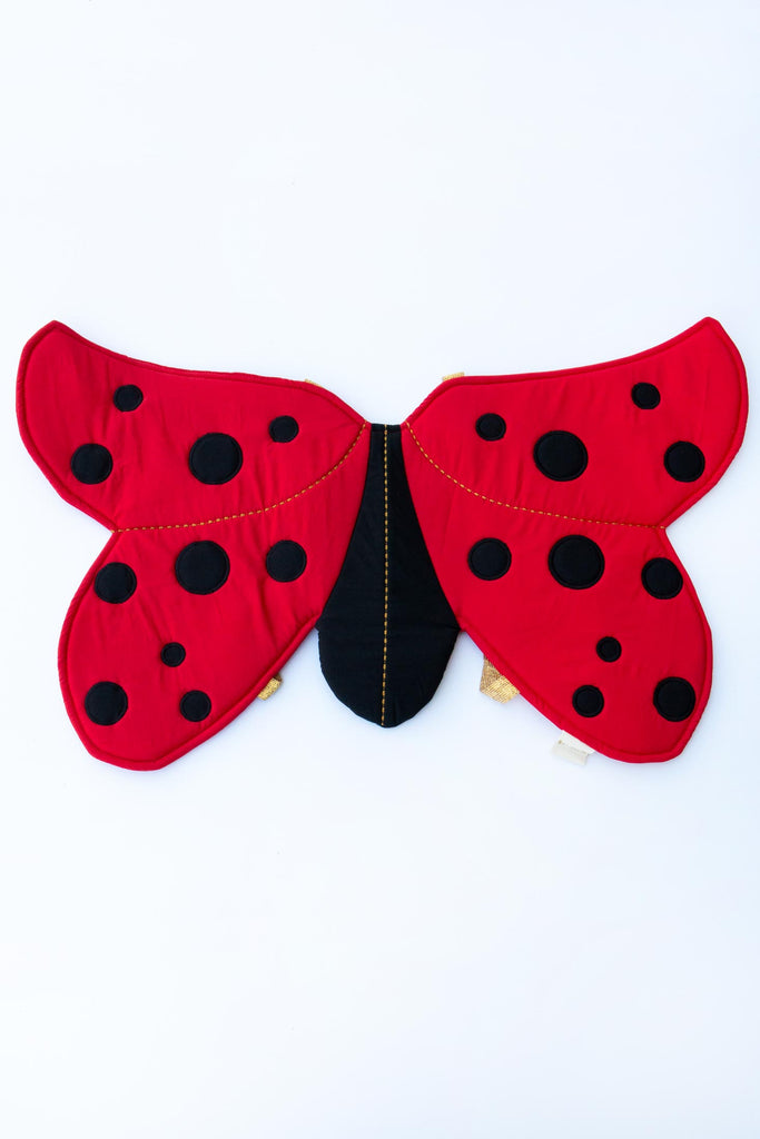 Ladybug Wings