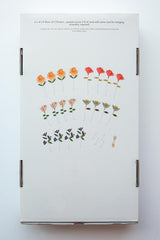 Flower Wall Hanging