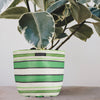 Plant Pot Cover