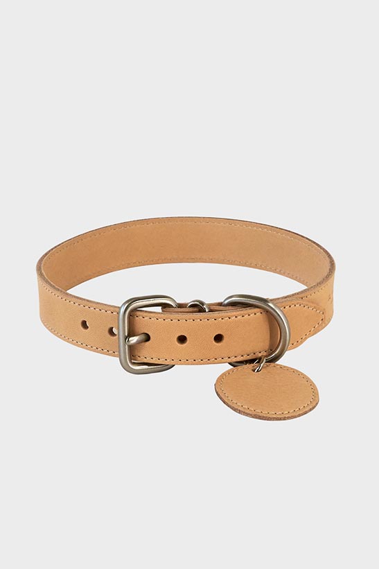 Dog Collar