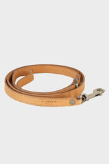 Dog Leash