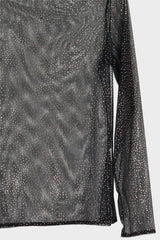 Sheer Hi Neck Top