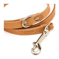 Dog Leash