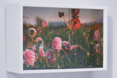 Miniature Art Box The Seed