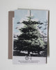 Holiday Tree Cards/Set 4