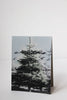 Holiday Tree Cards/Set 4