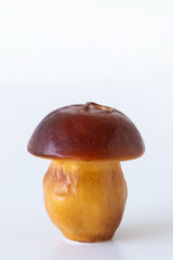 Mushroom Candle