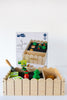 Vegetable Garden Playset
